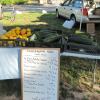 Checkerberry Farms display